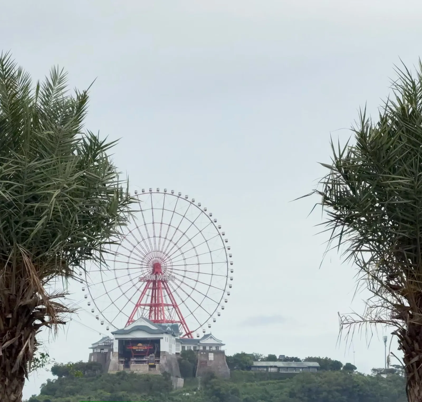 两侧棕榈树之间,远处山顶上的 Sun World 红色摩天轮